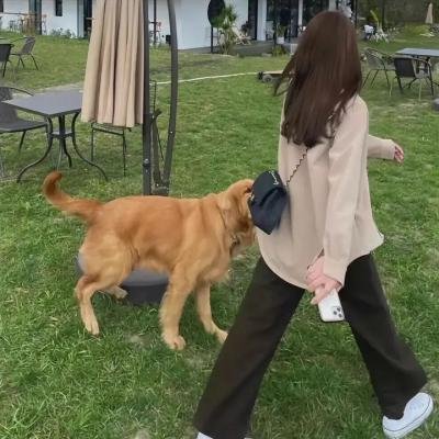 怪兽猎人