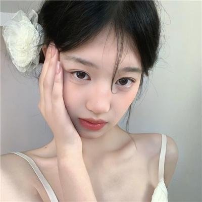 飞燕惊鸿